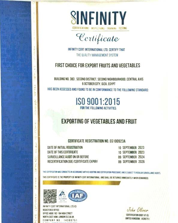 ISO 9001